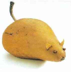 Mouse of Pear